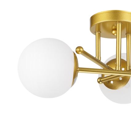 Brilagi - Plafoniera da soffitto MALIVA 3xE14/15W/230V oro/bianco