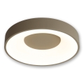 BRILAGI - Plafoniera dimmerabile a LED FALCON II LED/67W/230V 3000-6500K Ø 40 cm beige + telecomando