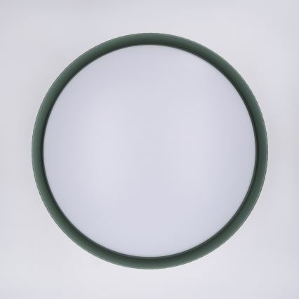 Brilagi - Plafoniera LED dimmerabile LUCIA LED/60W/230V 3000-6500K Ø 59 cm verde + telecomando