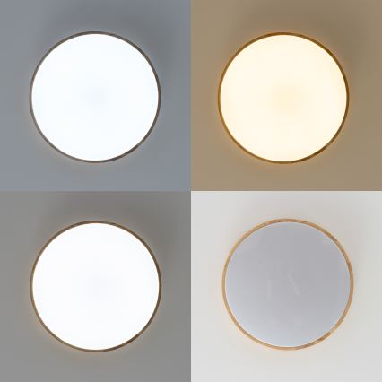 Brilagi - Plafoniera LED dimmerabile PINE LED/24W/230V in legno Ø 42 cm 3000-6500K + telecomando