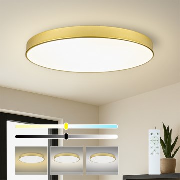 Brilagi - Plafoniera dimmerabile a LED POOL SMART LED/128W/230V 3000-6000K 100 cm dorata Wi-Fi Tuya + telecomando
