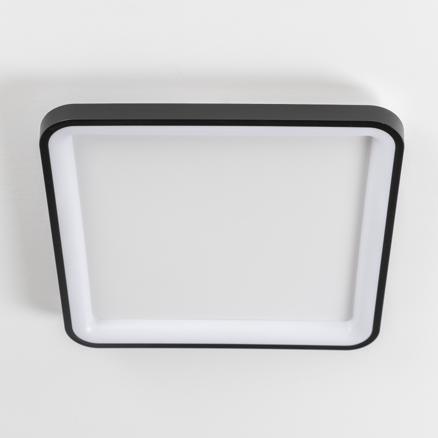 Brilagi - Plafoniera LED dimmerabile FALCON SLIM LED/50W/230V 3000-6500K 50x50 cm nera + telecomando