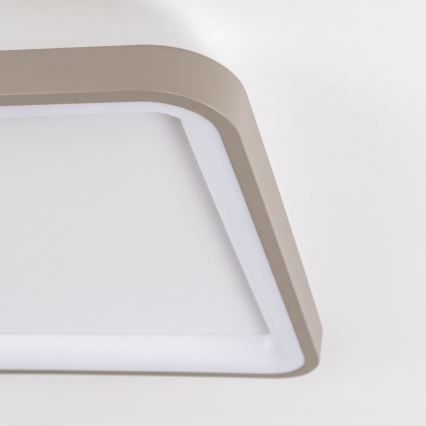 BRILAGI - LED dimmerabile plafoniera FALCON SLIM LED/50W/230V 3000-6500K 50x50 cm bianco/beige + telecomando