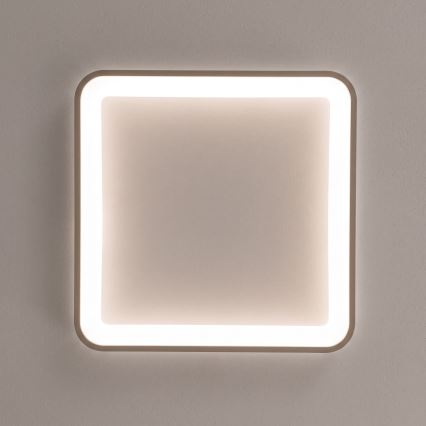 BRILAGI - LED dimmerabile plafoniera FALCON SLIM LED/50W/230V 3000-6500K 50x50 cm bianco/beige + telecomando