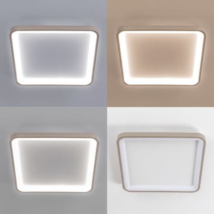 BRILAGI - LED dimmerabile plafoniera FALCON SLIM LED/50W/230V 3000-6500K 50x50 cm bianco/beige + telecomando