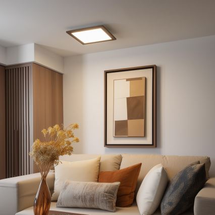 Brilagi - Plafoniera LED dimmerabile SLIMFRAME WOOD LED/36W/230V 49,5x49,5 cm 3000-6000K marrone + telecomando