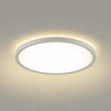 Brilagi - Plafoniera dimmerabile RGBW ULTRA SLIM LED/18W/230V 2700-6500K diametro 30 cm bianco + telecomando