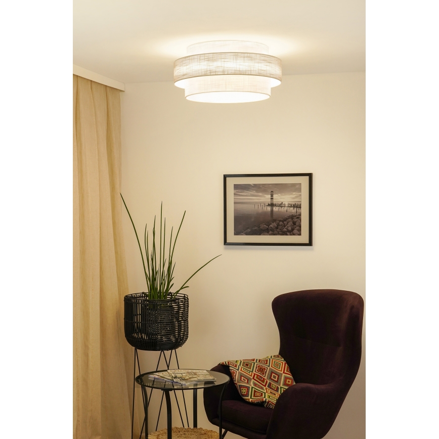 Brilagi - Plafoniera DOVER SPACE LED/12W/230V diametro 50 cm 3000K/4000K/6400K grigio/color crema