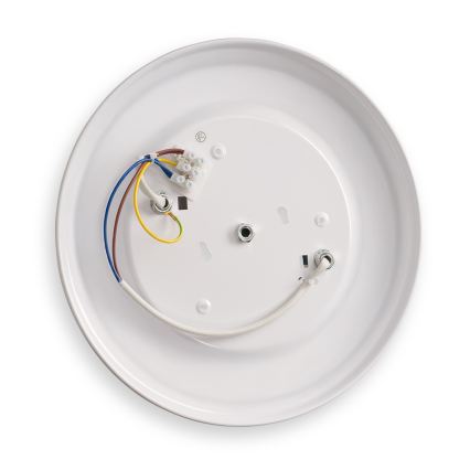 BRILAGI - Plafoniera FRESCO 2xE27/40W/230V diam. 30 cm dorata