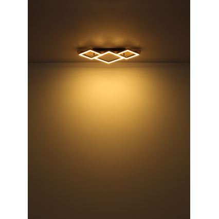 Brilagi - Plafoniera LED AXIS I LED/24W/230V
