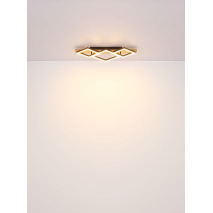 Brilagi - Plafoniera LED AXIS I LED/24W/230V
