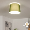 Brilagi - Plafoniera LED CERIA a montaggio superficiale 1xE27/40W/230V Ø 30 cm verde