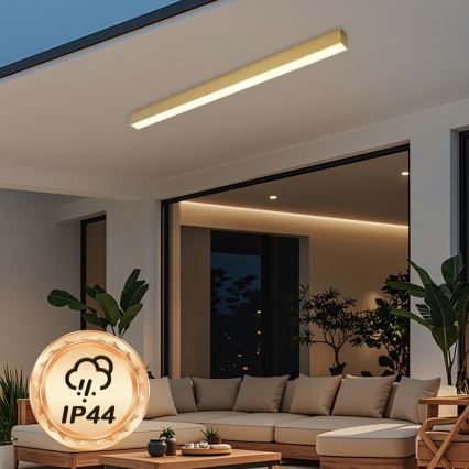 Brilagi - Plafoniera LED per bagno SLEEKLINE LED/40W/230V 3000/4500/6000K dorata IP44