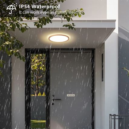 Brilagi - Plafoniera LED da bagno ULTRA SLIM 18W/230V Ø 30 cm oro rosa IP54