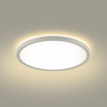 Brilagi - Plafoniera LED da bagno ULTRA SLIM LED/12W/230V diametro 22,5 cm bianco IP54