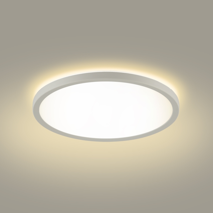 Brilagi - Plafoniera LED da bagno ULTRA SLIM LED/12W/230V diametro 22,5 cm bianco IP54