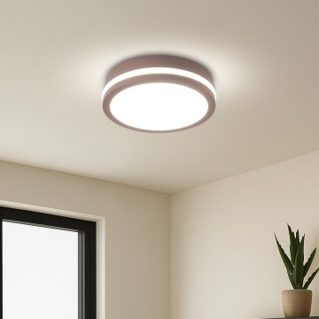 Brilagi - Plafoniera LED da esterno BENE LED/18W/230V Ø 21,5 cm marrone IP54