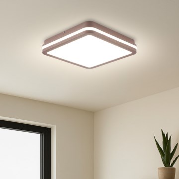 Brilagi - Plafoniera LED da esterno BENE LED/24W/230V 26x26 cm marrone IP54
