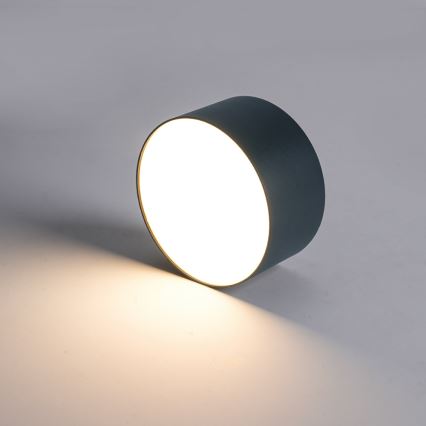 BRILAGI - Plafoniera LED da esterno FORIS LED/9W/230V Ø 9 cm antracite IP44