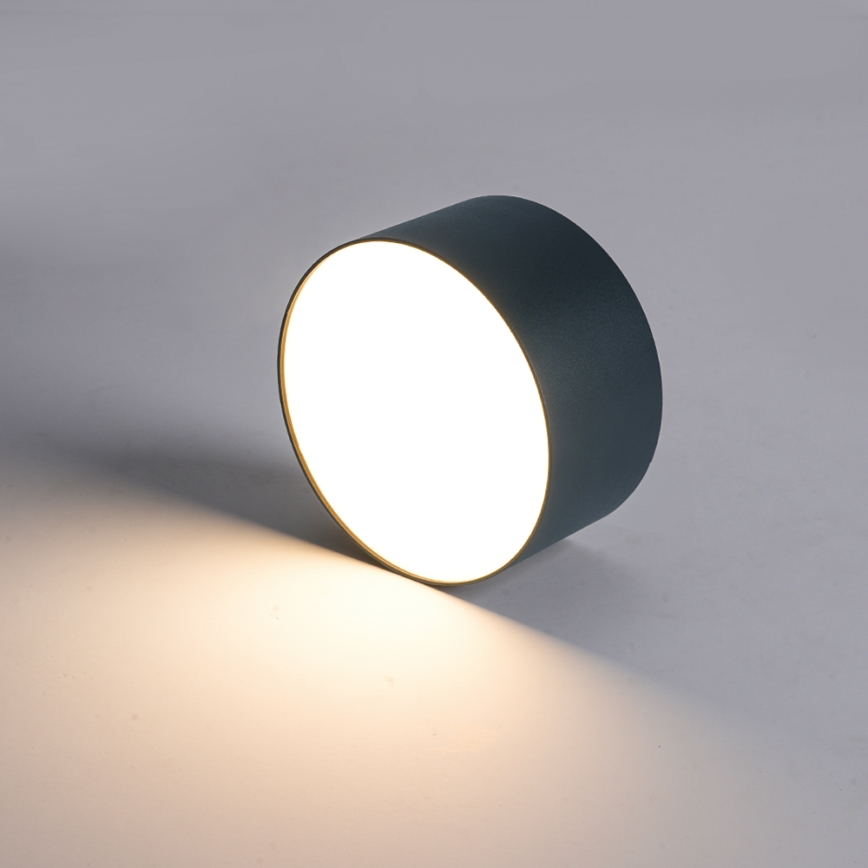 BRILAGI - Plafoniera LED da esterno FORIS LED/9W/230V Ø 9 cm antracite IP44