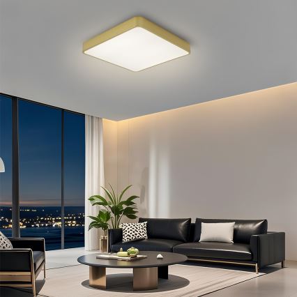 Brilagi - Plafoniera LED da soffitto POOL LED/48W/230V 3000/4500/6000K 50x50 cm dorata
