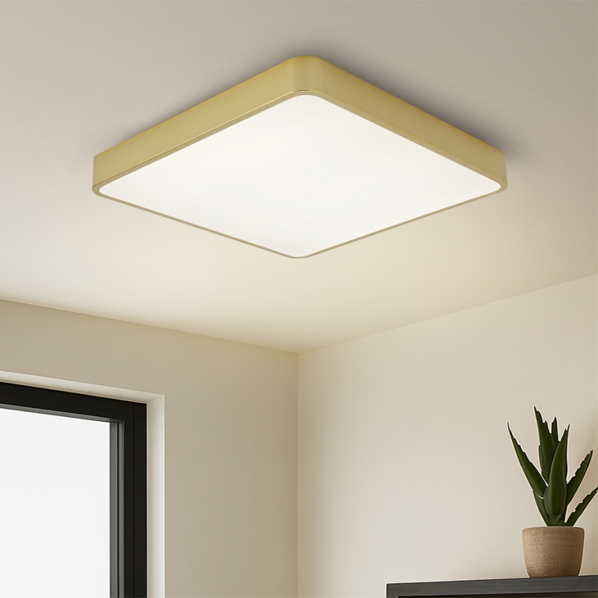 Brilagi - Plafoniera LED da soffitto POOL SQUARE LED/48W/230V 3000/4000/6000K 50x50 cm dorata