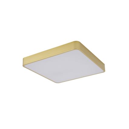 Brilagi - Plafoniera LED da soffitto POOL SQUARE LED/48W/230V 3000/4000/6000K 50x50 cm dorata