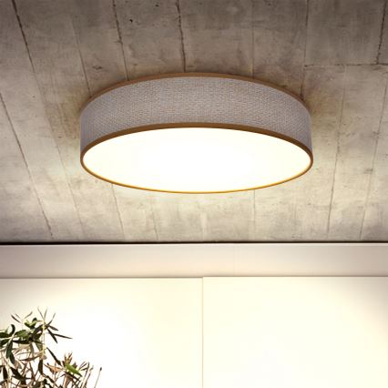 Brilagi - Plafoniera LED dimmerabile CARMEN LED/48W/230V 3000-6500K diametro 40 cm + telecomando