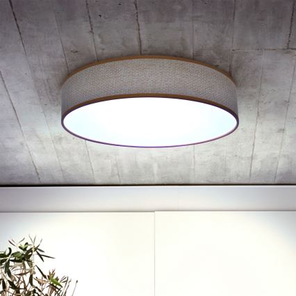 Brilagi - Plafoniera LED dimmerabile CARMEN LED/48W/230V 3000-6500K diametro 40 cm + telecomando