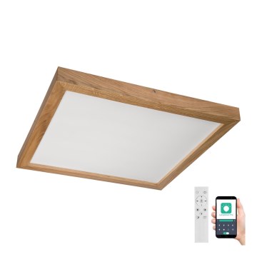 Brilagi - Plafoniera LED dimmerabile da bagno WOODY FRAME LED/50W/230V quercia 60x60 cm 3000-6000K IP44 + telecomando