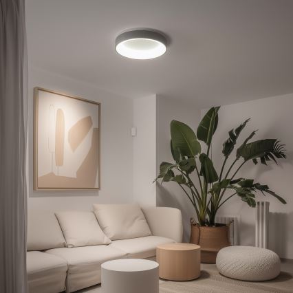 Brilagi - Plafoniera LED dimmerabile FALCON LED/40W/230V 3000–6500K Ø 45 cm grigia + telecomando