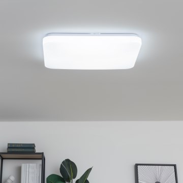 Brilagi - Plafoniera LED dimmerabile da soffitto PINE LED/60W/230V Ø 52 cm 3000-6500K + telecomando
