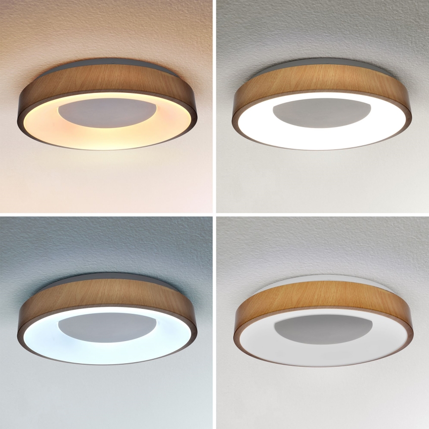 Brilagi - Plafoniera LED dimmerabile DORIA LED/48W/230V 3000-6500K diametro 39 cm + telecomando