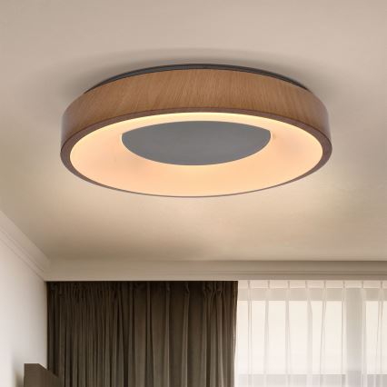 Brilagi - Plafoniera LED dimmerabile DORIA LED/48W/230V 3000-6500K diametro 39 cm + telecomando