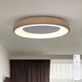 BRILAGI - Plafoniera LED dimmerabile DORIA LED/60W/230V 3000-6500K Ø 60 cm + telecomando