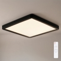 Brilagi - Plafoniera LED dimmerabile ESTELA SQUARE LED/36W/230V 3000-6500K 31x31 cm nera + telecomando