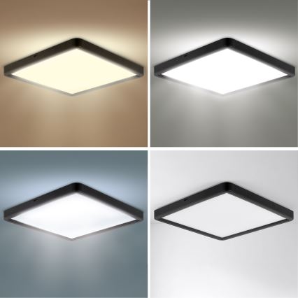 Brilagi - Plafoniera LED dimmerabile ESTELA SQUARE LED/36W/230V 3000-6500K 31x31 cm nera + telecomando