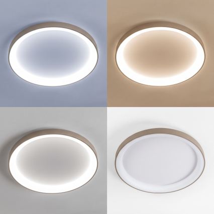 BRILAGI - Plafoniera LED dimmerabile FALCON II LED/108W/230V 3000-6500K Ø 80 cm bianco/beige + telecomando