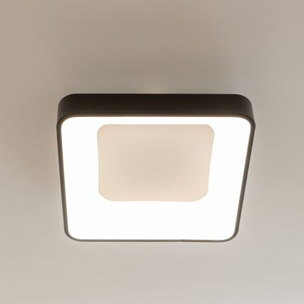 Brilagi - Plafoniera LED dimmerabile FALCON II LED/80W/230V 3000-6500K 40x40 cm nero + telecomando