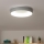 Brilagi - Plafoniera LED dimmerabile FALCON LED/40W/230V 3000–6500K Ø 45 cm grigia + telecomando