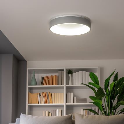 Brilagi - Plafoniera LED dimmerabile FALCON LED/80W/230V 3000-6500K grigio + telecomando