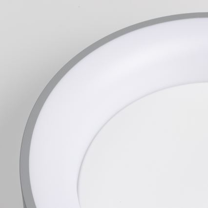 Brilagi - Plafoniera LED dimmerabile FALCON LED/80W/230V 3000-6500K Ø 60 cm grigio + telecomando
