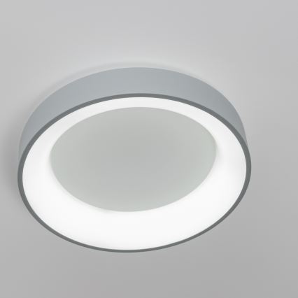 Brilagi - Plafoniera LED dimmerabile FALCON LED/80W/230V 3000-6500K Ø 60 cm grigio + telecomando