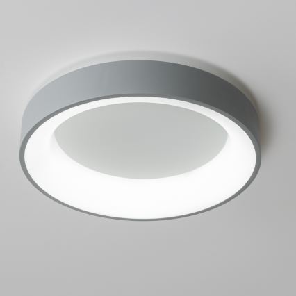 Brilagi - Plafoniera LED dimmerabile FALCON LED/80W/230V 3000-6500K Ø 60 cm grigio + telecomando
