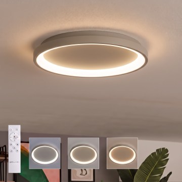 BRILAGI - Plafoniera LED dimmerabile FALCON SLIM LED/42W/230V 3000-6500K Ø 50 cm beige + telecomando