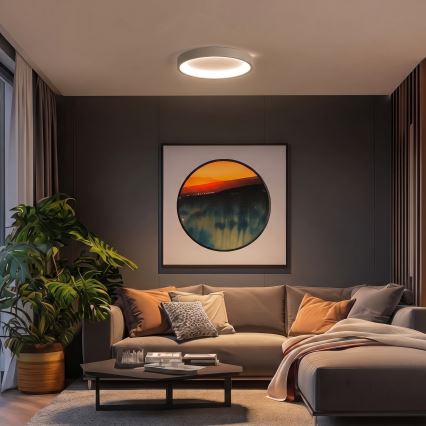 BRILAGI - Plafoniera LED dimmerabile FALCON SLIM LED/42W/230V 3000-6500K Ø 50 cm bianco/beige + telecomando