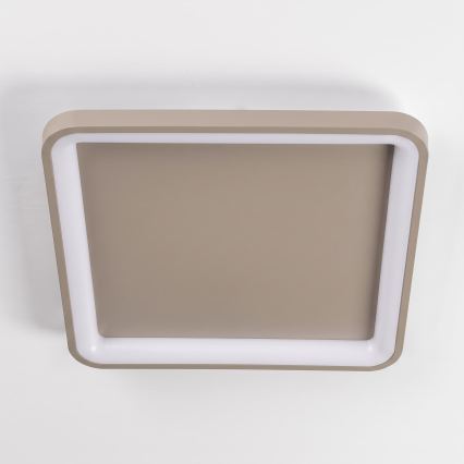 BRILAGI - LED Plafoniera dimmerabile FALCON SLIM LED/50W/230V 3000-6500K 50x50 cm beige + telecomando