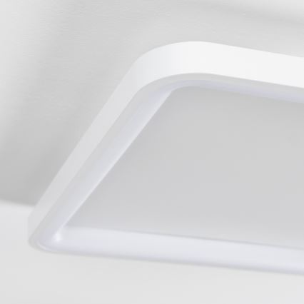 Brilagi - Plafoniera LED dimmerabile FALCON SLIM LED/50W/230V 3000-6500K 50x50 cm bianco + telecomando
