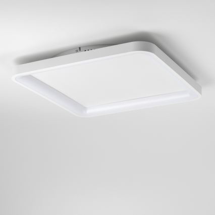 Brilagi - Plafoniera LED dimmerabile FALCON SLIM LED/50W/230V 3000-6500K 50x50 cm bianco + telecomando