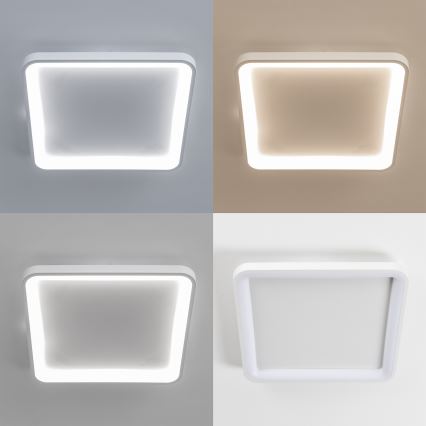 Brilagi - Plafoniera LED dimmerabile FALCON SLIM LED/50W/230V 3000-6500K 50x50 cm bianco + telecomando